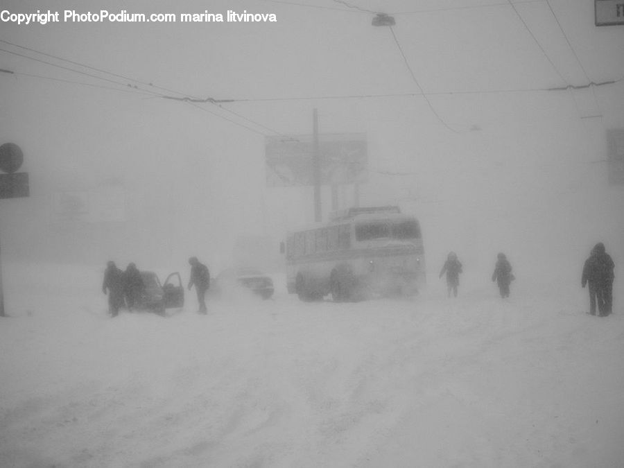 Blizzard, Outdoors, Snow, Weather, Winter