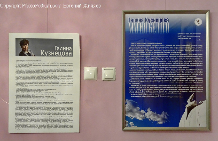 Brochure, Flyer, Paper, Poster