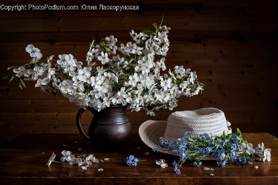 Flora, Jar, Plant, Potted Plant, Pottery