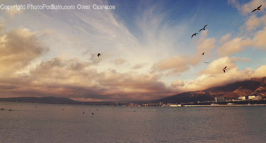 Cloud, Nature, Outdoors, Sky, Weather