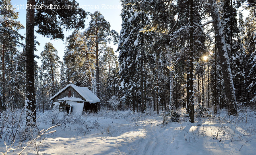Building, Countryside, Hut, Nature, Outdoors