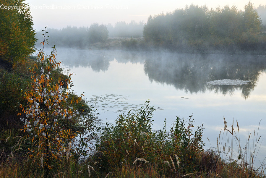 Fog, Mist, Nature, Outdoors, Weather