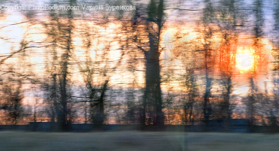 Hardwood, Stained Wood, Wood, Sunlight, Dawn