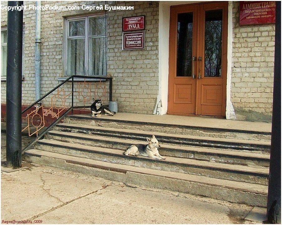 Deck, Housing, Porch, Brick, Cobblestone, Pavement, Walkway