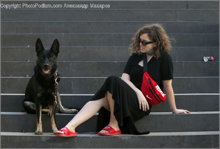 Human, People, Person, Animal, Canine