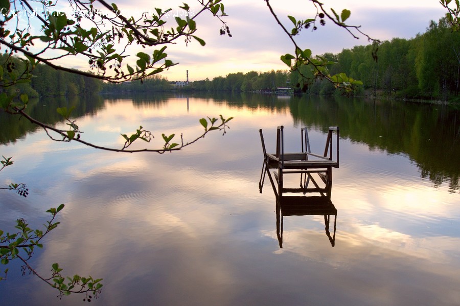 Bench, Dock, Pier, Art, Blossom