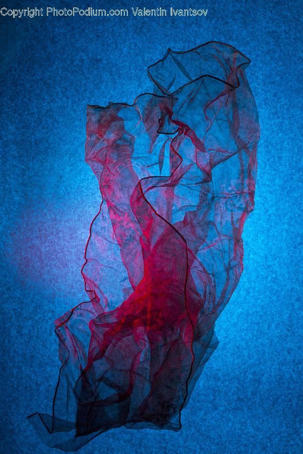 Animal, Invertebrate, Jellyfish, Sea Life, Art