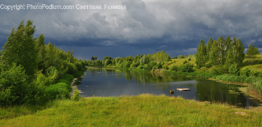 Outdoors, Pond, Water, Conifer, Flora