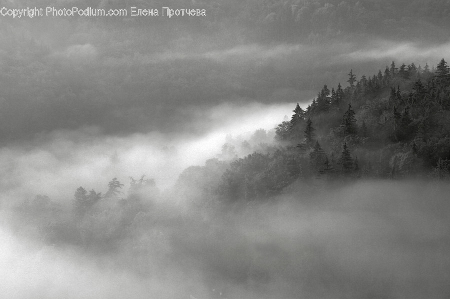 Fog, Nature, Weather, Storm, Mist