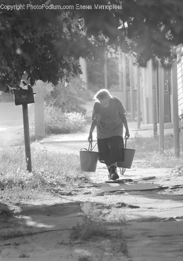 Human, People, Person, Bucket
