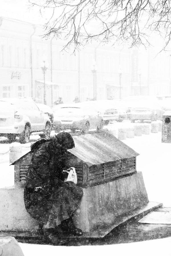 Blizzard, Nature, Outdoors, Snow, Storm