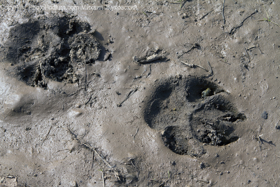 Mud, Soil