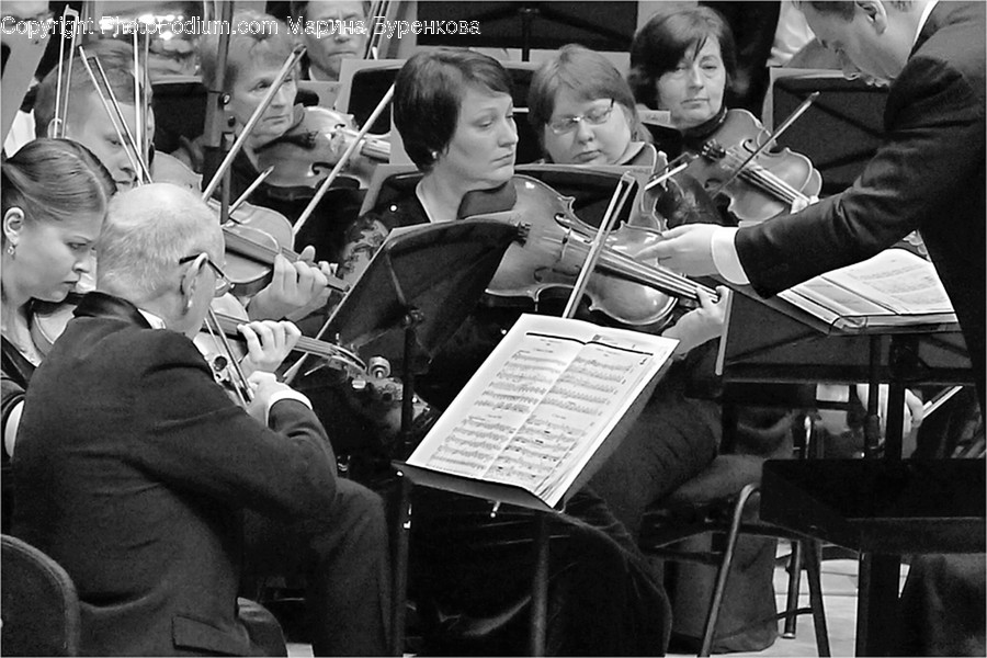 Human, People, Person, Fiddle, Leisure Activities