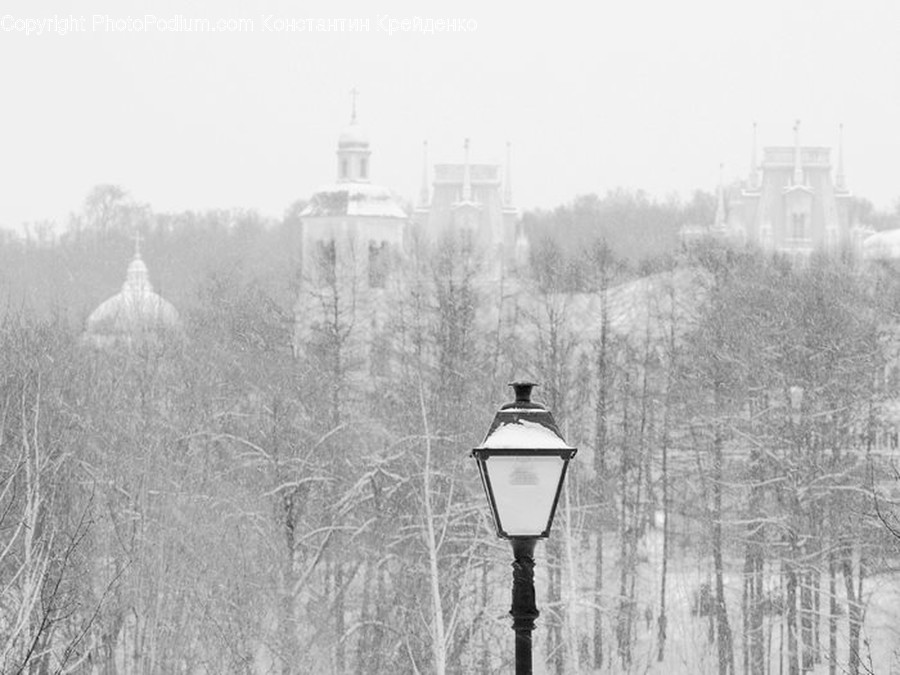 Lamp Post, Pole, Outdoors, Snow, Flora