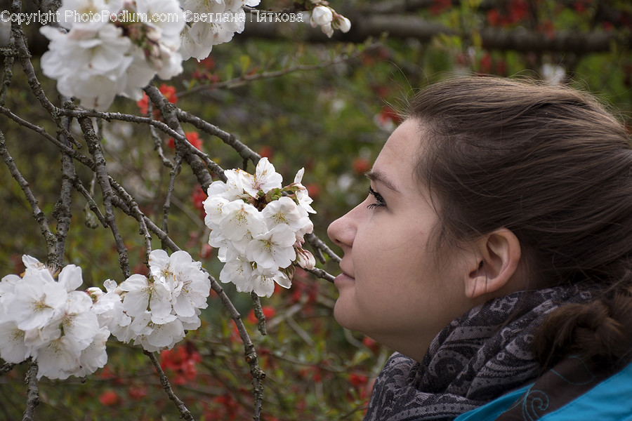 Human, People, Person, Blossom, Flora