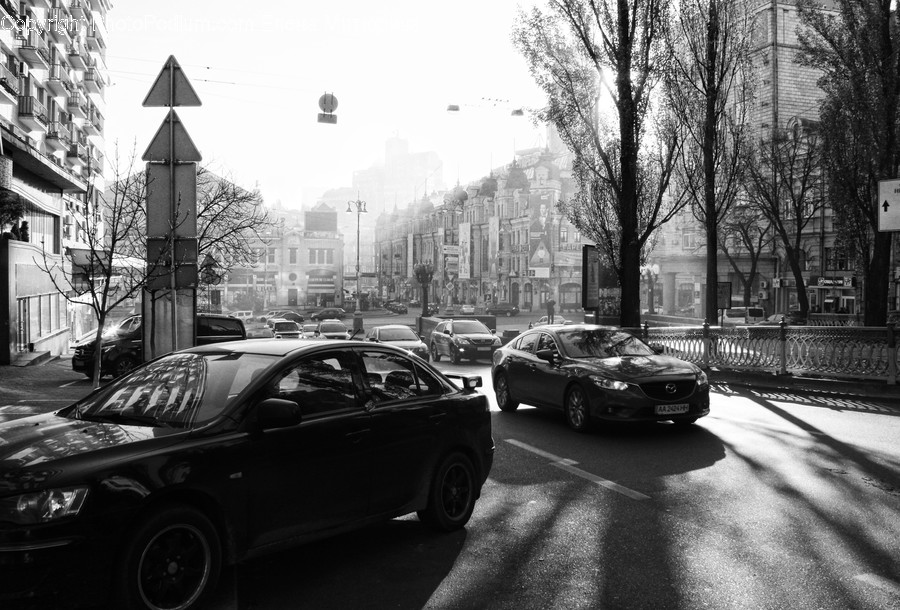 Automobile, Car, Transportation, Vehicle, Sedan