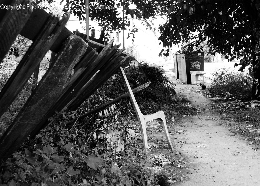 Chair, Furniture, Bench, Brick, Path