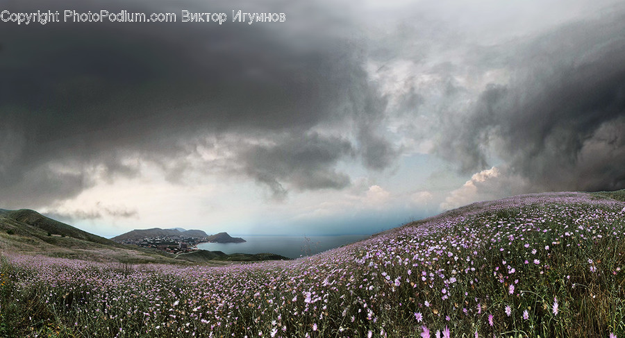 Field, Grassland, Outdoors, Plateau, Basin
