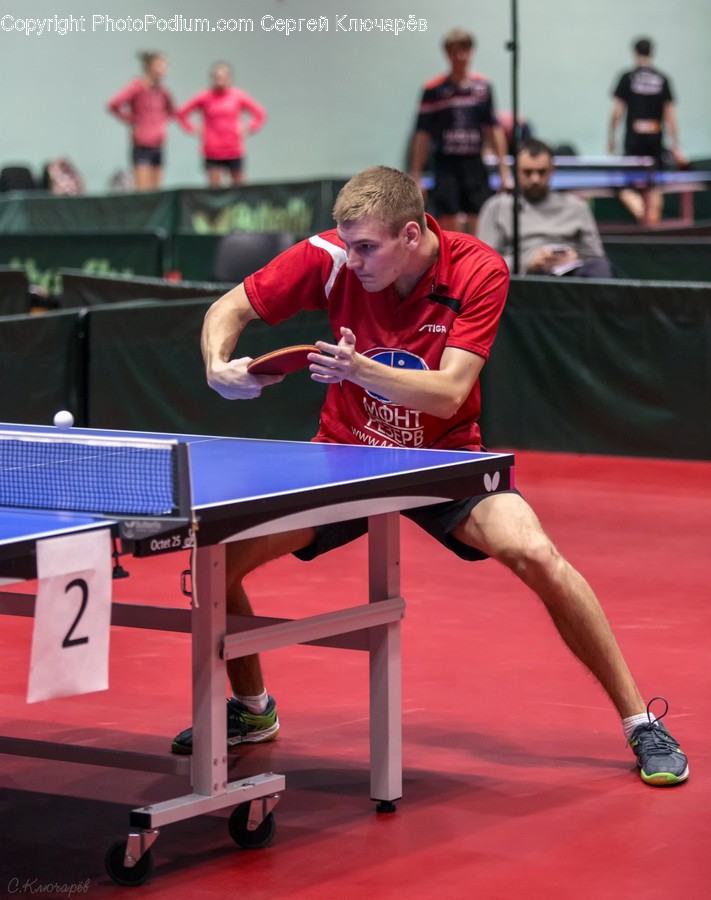 Ping Pong, Sport, Sports, Human, People