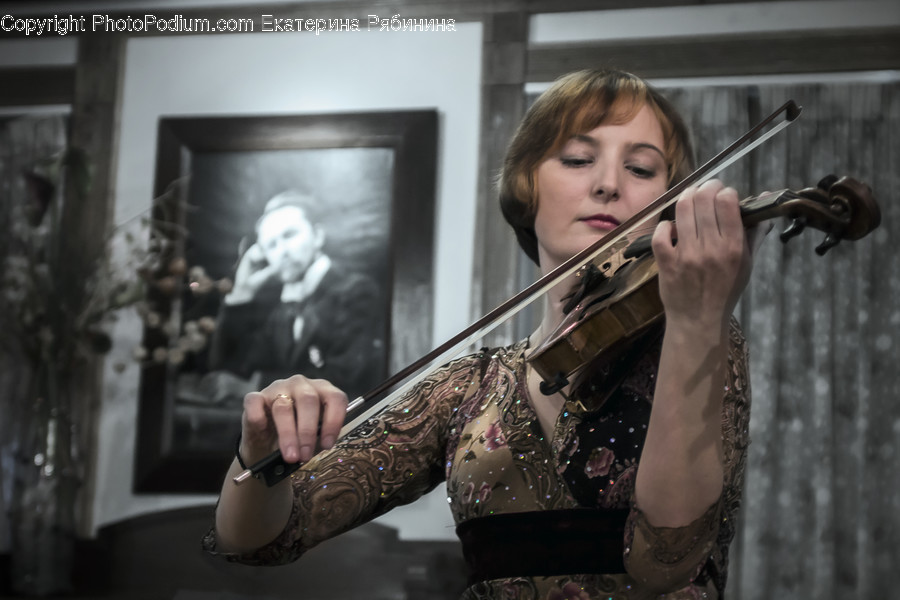Human, People, Person, Fiddle, Leisure Activities