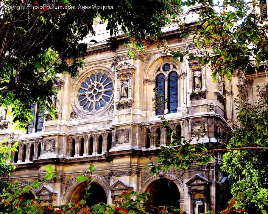 Building, House, Housing, Mansion, Arch
