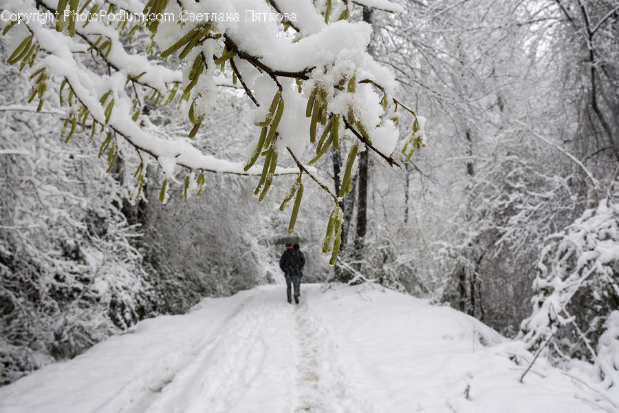 Outdoors, Snow, Blizzard, Nature, Storm