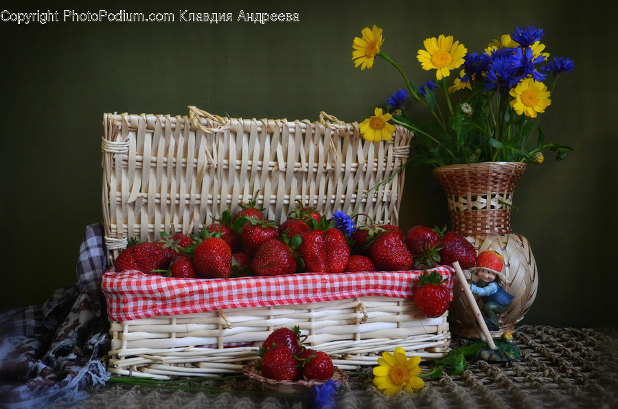 Flora, Food, Fruit, Plant, Produce