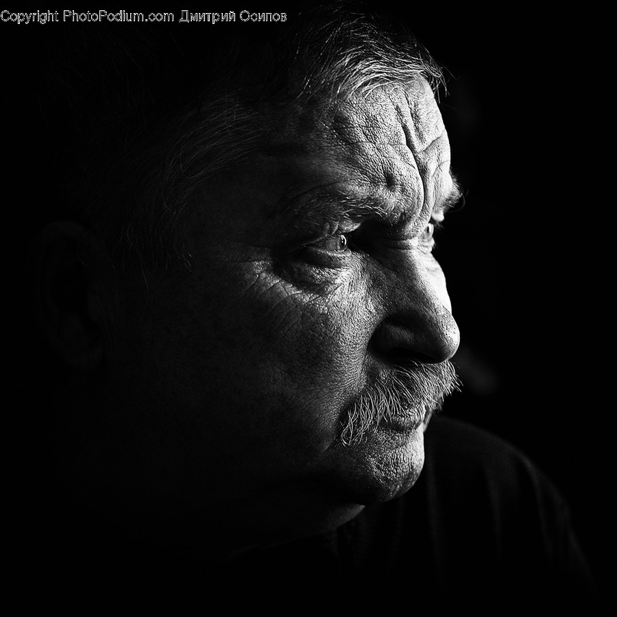 Face, Human, Person, Portrait, People