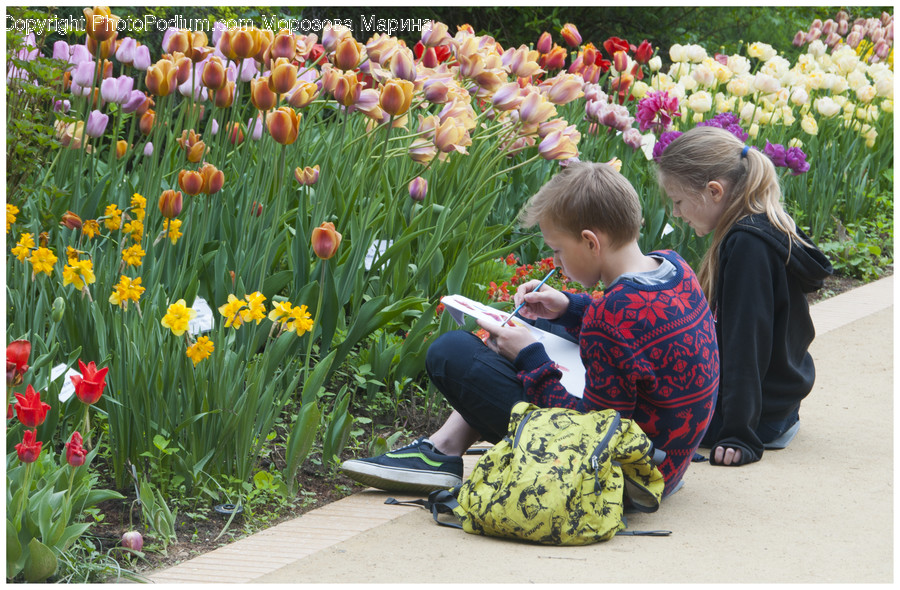 Human, People, Person, Blossom, Flora