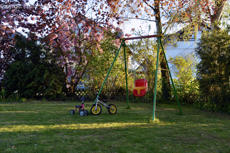 Transportation, Tricycle, Vehicle, Flora, Plant