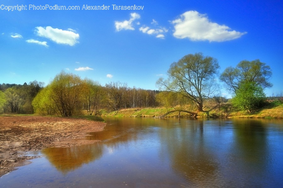 Outdoors, River, Water, Flora, Plant