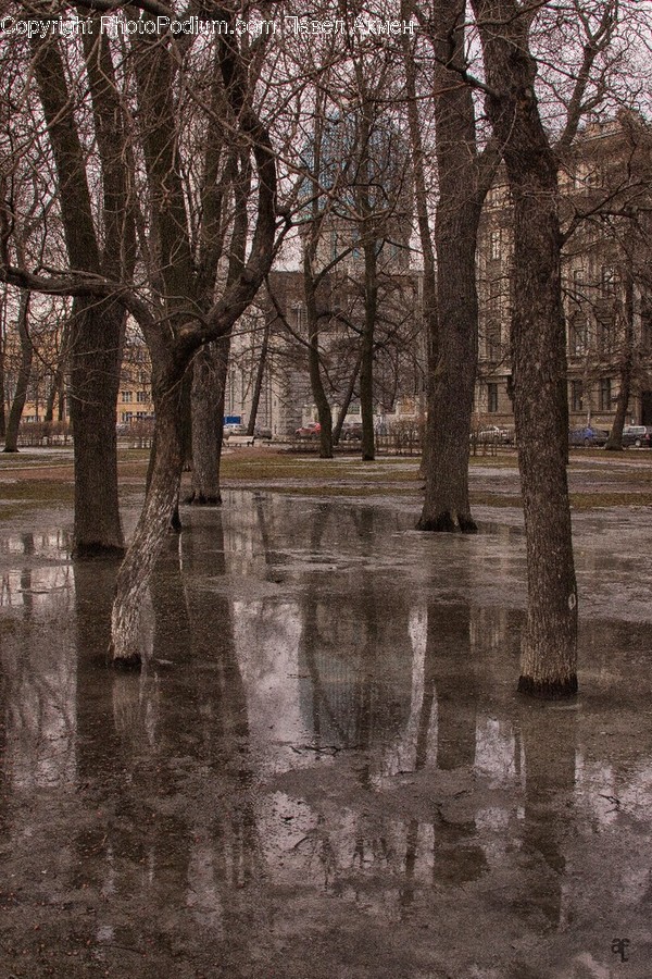 Flood, Nature