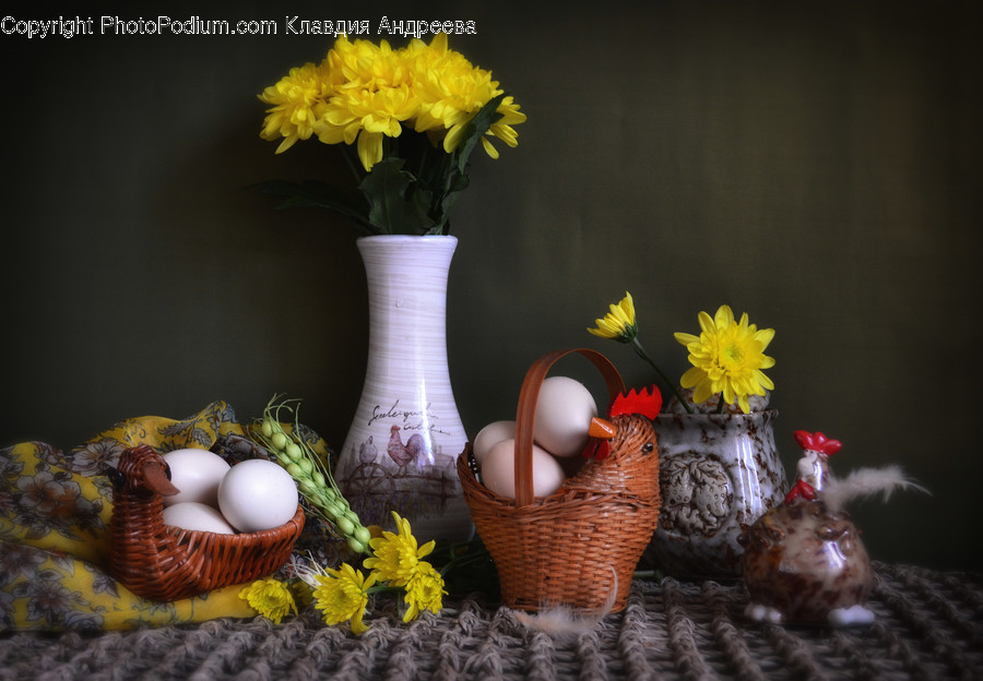 Jar, Pottery, Vase, Flora, Plant