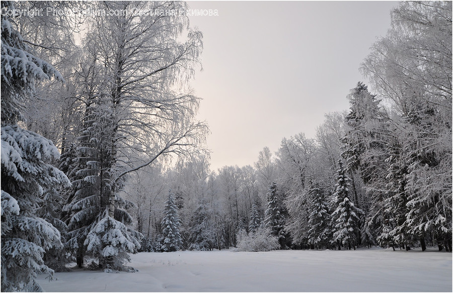 Landscape, Nature, Outdoors, Scenery, Snow