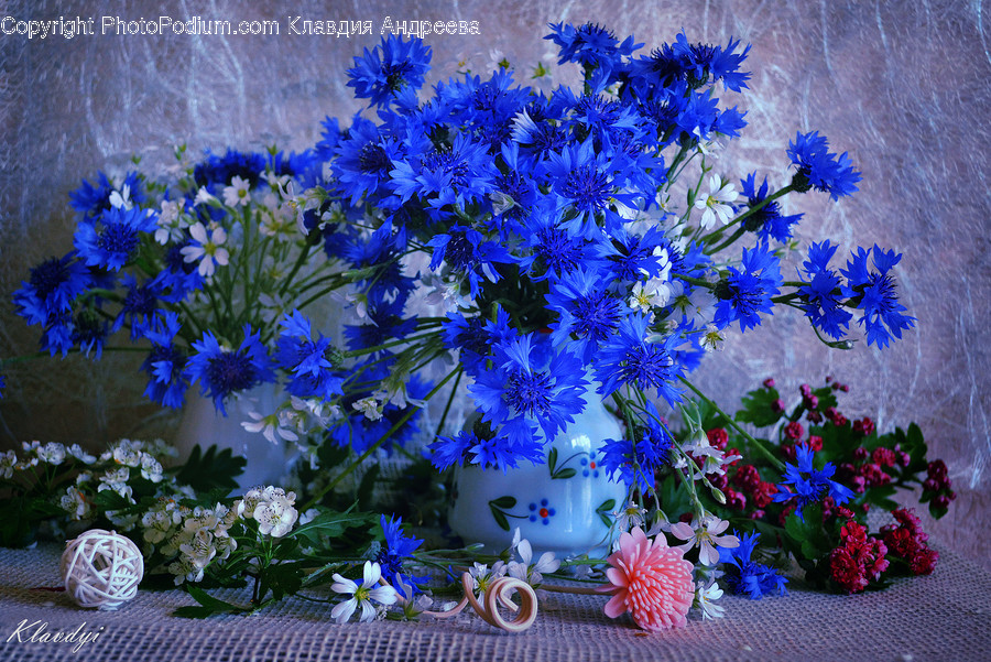 Flora, Jar, Plant, Potted Plant, Pottery