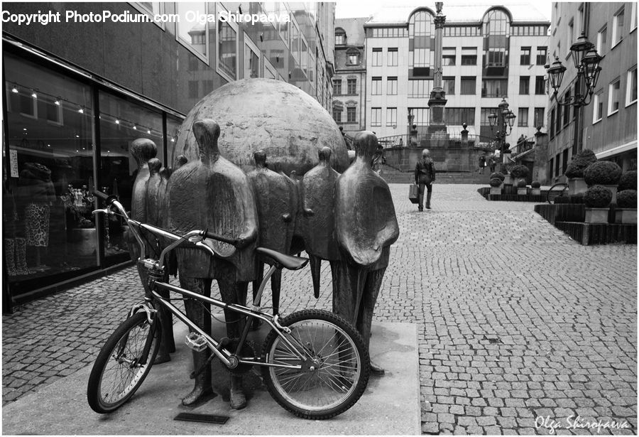 Bicycle, Bike, Vehicle, Road, Street, Town, Plant