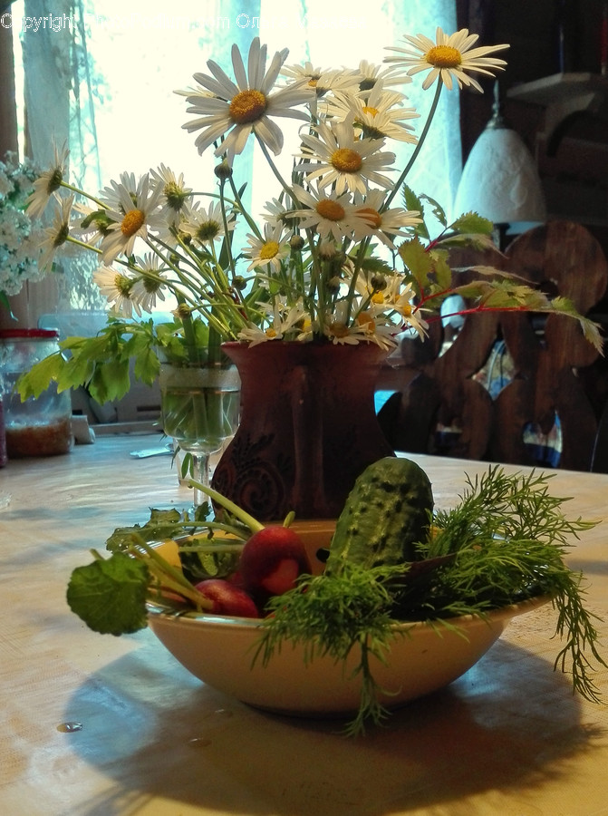 Flora, Jar, Plant, Potted Plant, Pottery