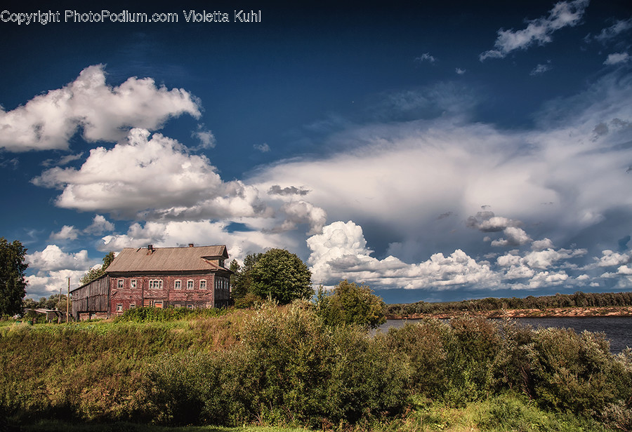 Cloud, Cumulus, Nature, Outdoors, Sky