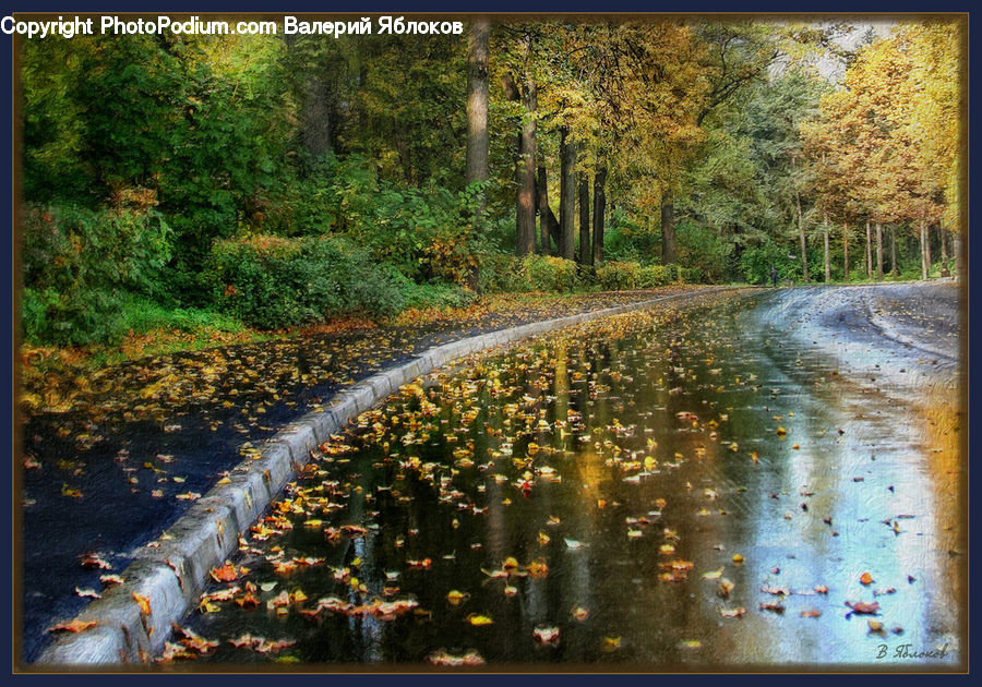 Dirt Road, Gravel, Road, Fountain, Water, Outdoors, Pond