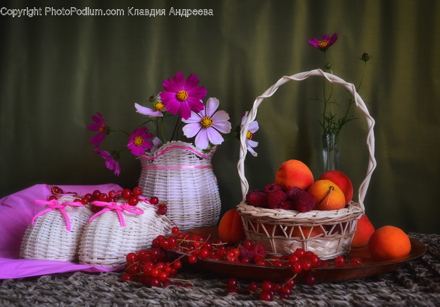 Flora, Jar, Plant, Potted Plant, Pottery