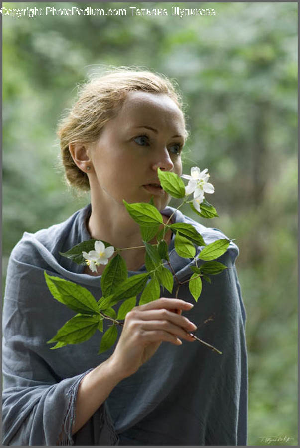 Human, People, Person, Blossom, Flora
