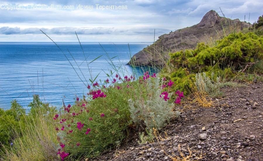 Landscape, Nature, Outdoors, Scenery, Coast