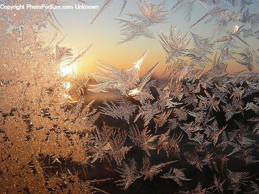 Frost, Ice, Outdoors, Snow, Field, Grass, Grassland
