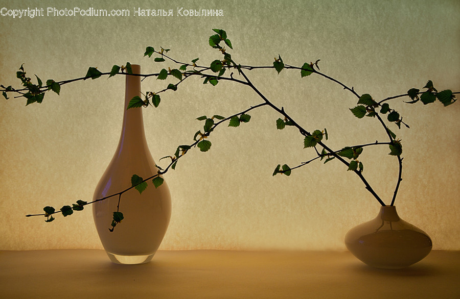 Art, Blossom, Flora, Flower, Flower Arrangement