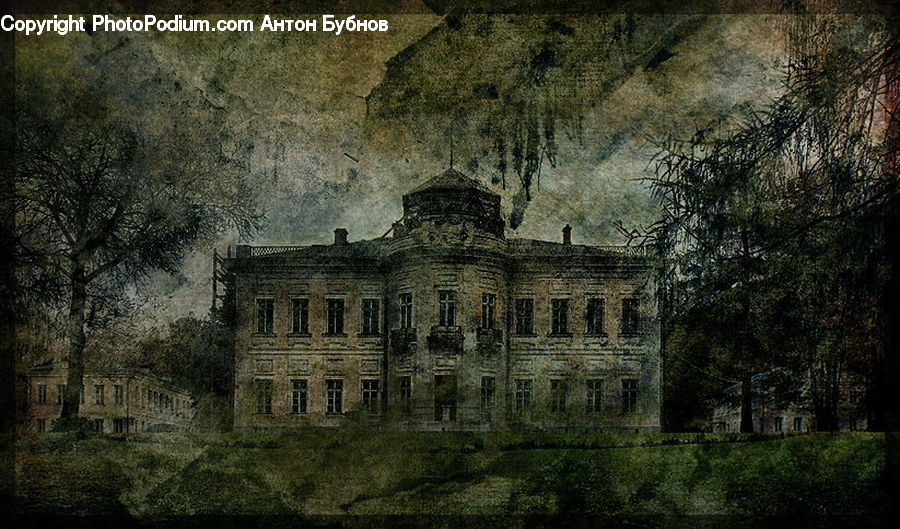 Architecture, Mansion, Castle, Fort, Forest, Grove