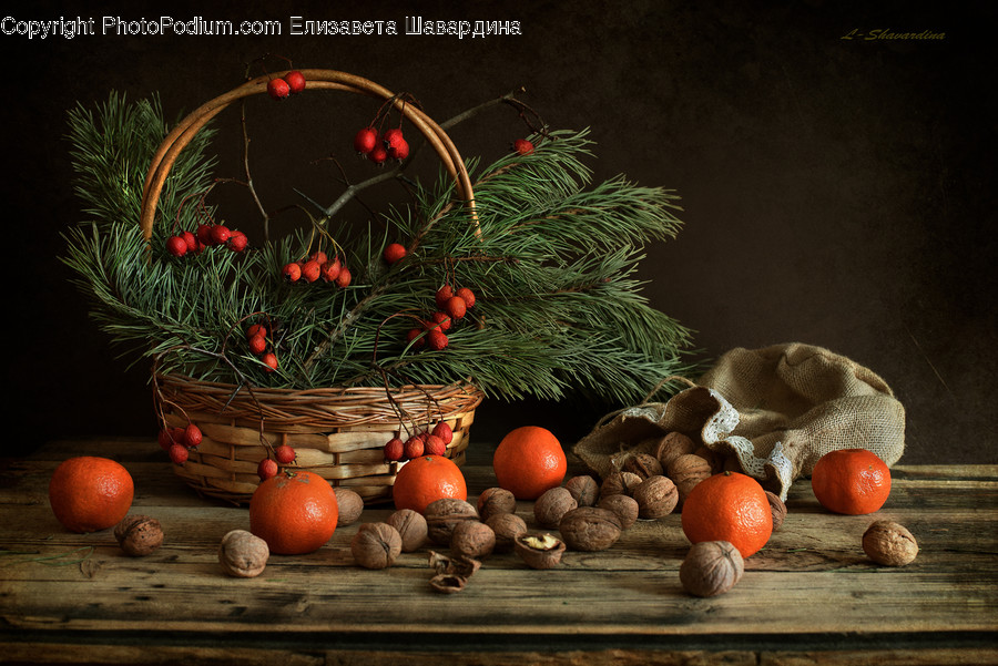 Flora, Food, Plant, Produce, Pumpkin