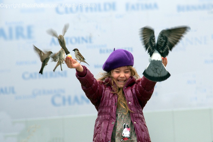 Human, People, Person, Animal, Bird