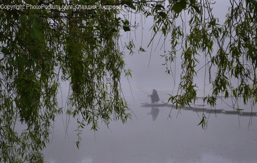 Outdoors, Pond, Water, Flora, Plant