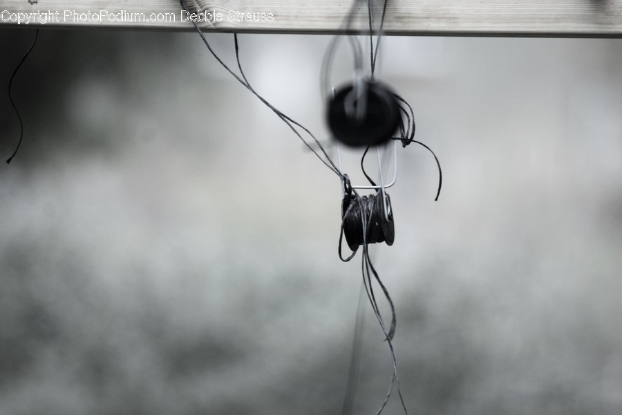 Electronics, Headphones, Headset, Animal, Arachnid