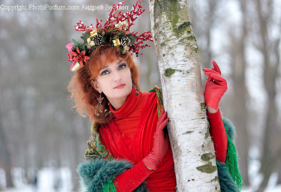 Human, People, Person, Birch, Flora